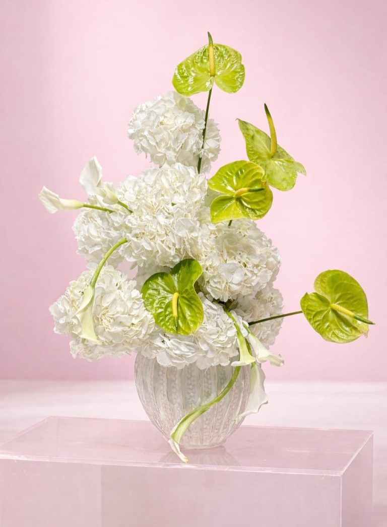 WhatsApp Image 2026-03-05 at 2.54.40 PM