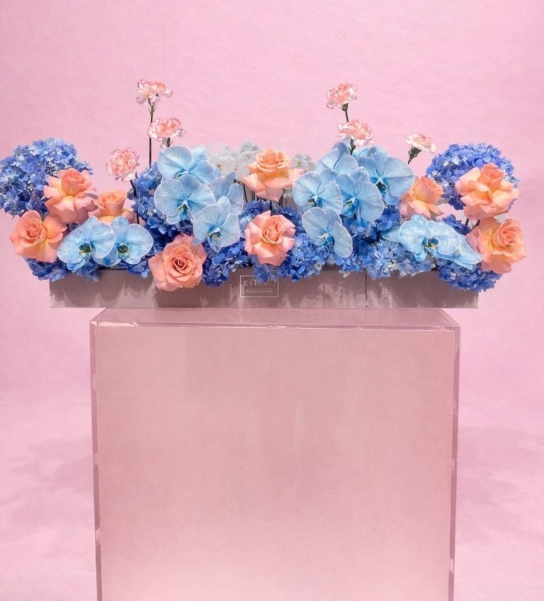 WhatsApp Image 2026-03-06 at 1.40.28 PM WhatsApp Image 2026-03-06 at 1.40.28 PM