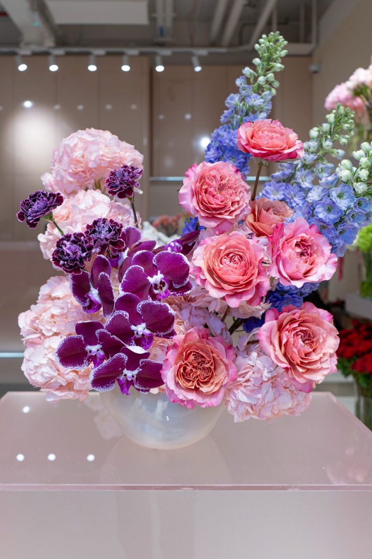 WhatsApp Image 2026-03-12 at 11.41.41 PM WhatsApp Image 2026-03-12 at 11.41.41 PM