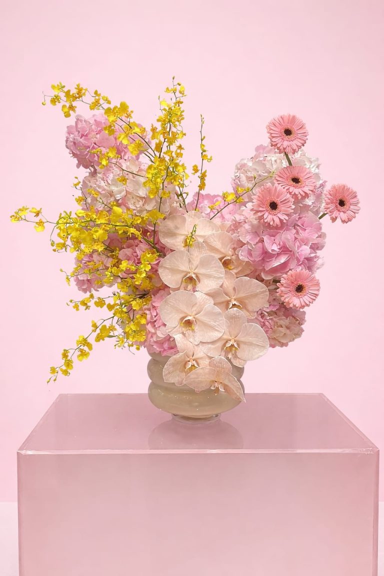 WhatsApp Image 2026-03-13 at 10.38.21 AM WhatsApp Image 2026-03-13 at 10.38.21 AM