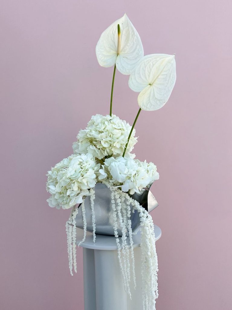 WhatsApp Image 2026-03-18 at 5.09.01 PM WhatsApp Image 2026-03-18 at 5.09.01 PM