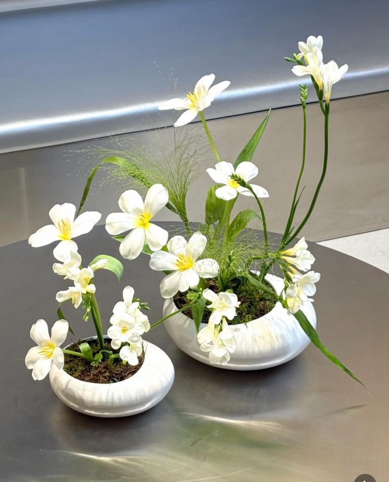 WhatsApp Image 2026-03-18 at 5.10.33 PM WhatsApp Image 2026-03-18 at 5.10.33 PM