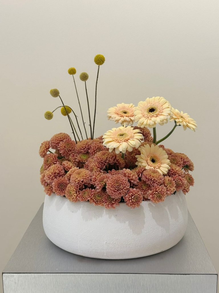 WhatsApp Image 2026-03-18 at 5.11.14 PM