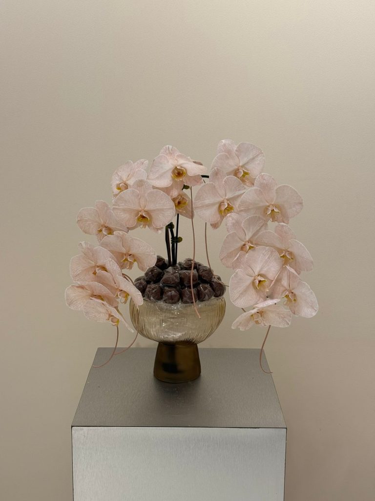 WhatsApp Image 2026-03-18 at 9.23.28 PM