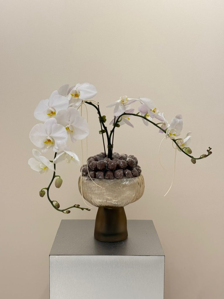 WhatsApp Image 2026-03-18 at 9.40.45 PM