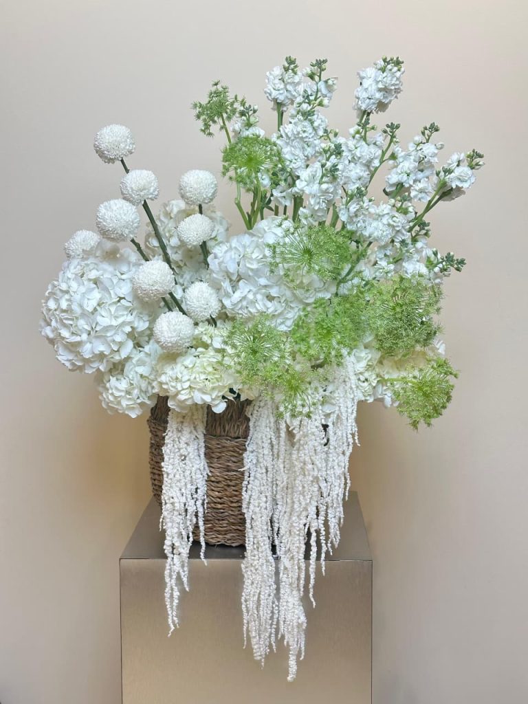 WhatsApp Image 2026-03-28 at 5.10.21 PM