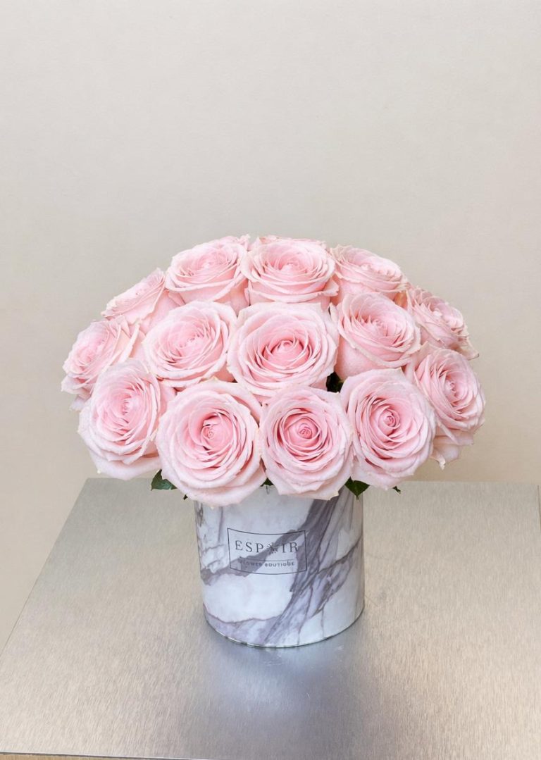 WhatsApp Image 2026-03-29 at 7.48.11 PM