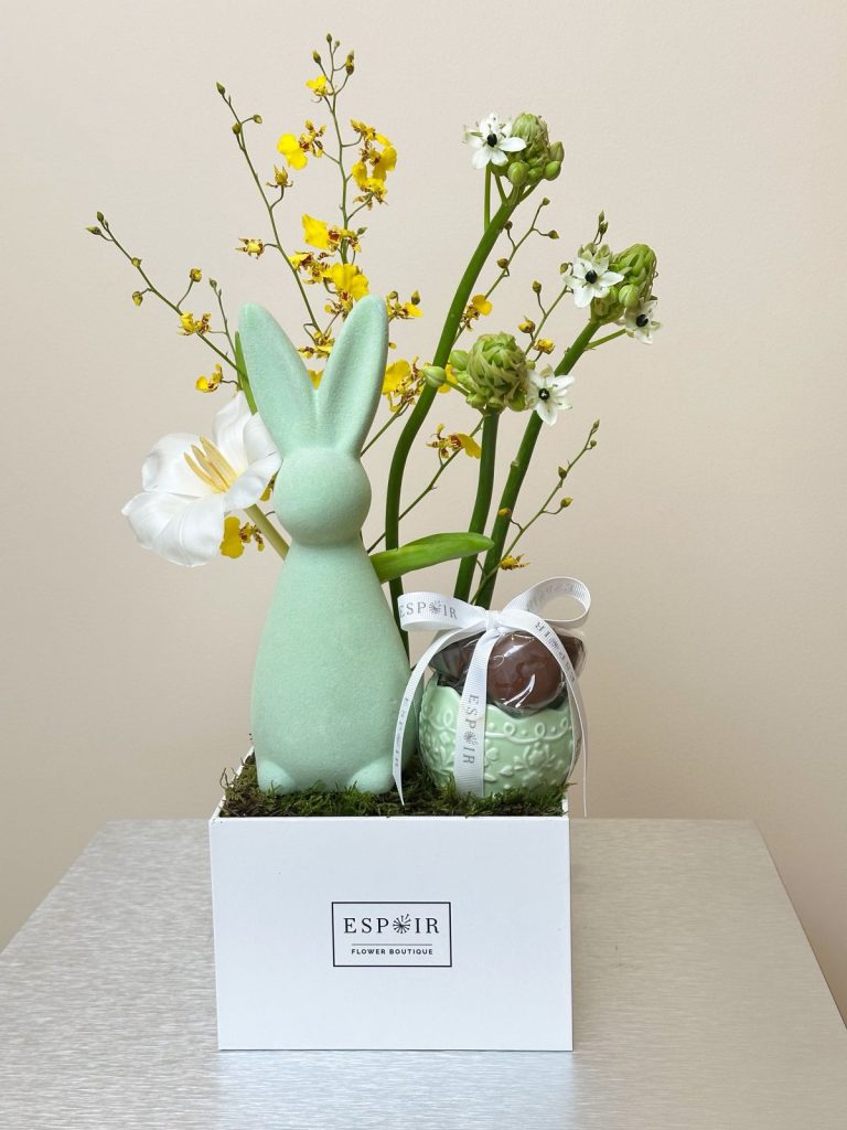 WhatsApp Image 2026-03-26 at 9.28.01 AM