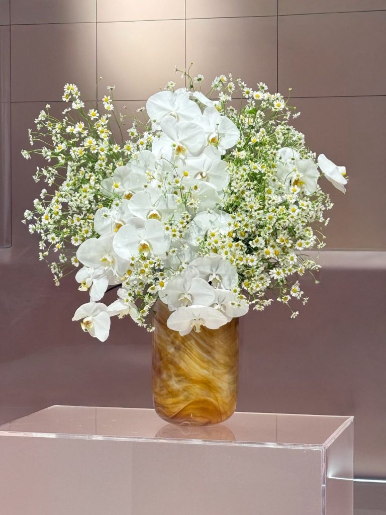 WhatsApp Image 2026-04-01 at 10.34.16 AM WhatsApp Image 2026-04-01 at 10.34.16 AM