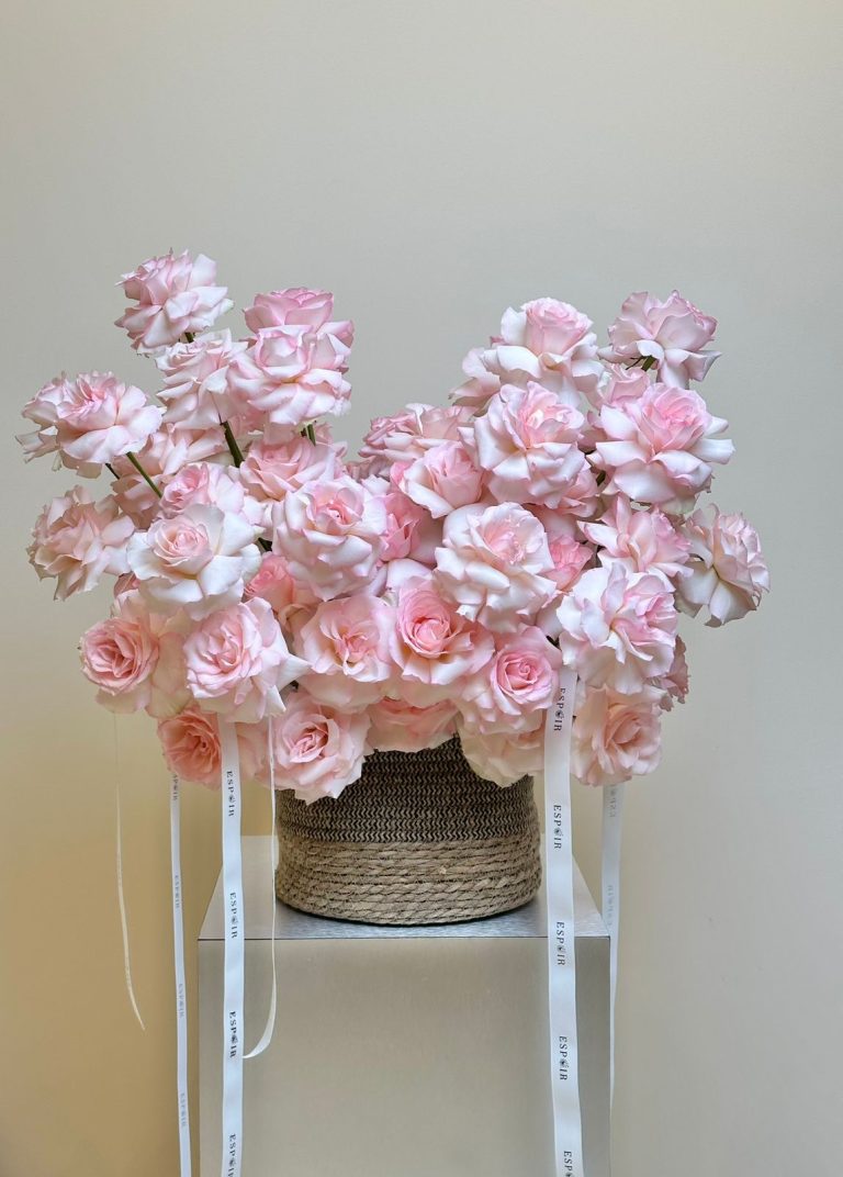 WhatsApp Image 2026-04-02 at 11.21.43 AM