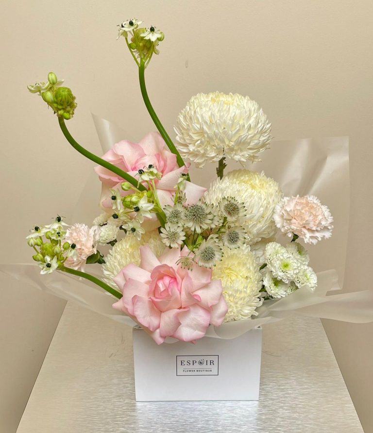 WhatsApp Image 2026-04-02 at 11.22.04 AM WhatsApp Image 2026-04-02 at 11.22.04 AM