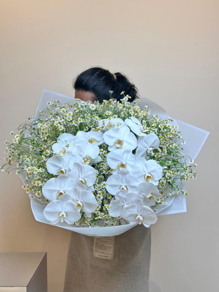 WhatsApp Image 2026-04-03 at 10.18.49 AM WhatsApp Image 2026-04-03 at 10.18.49 AM