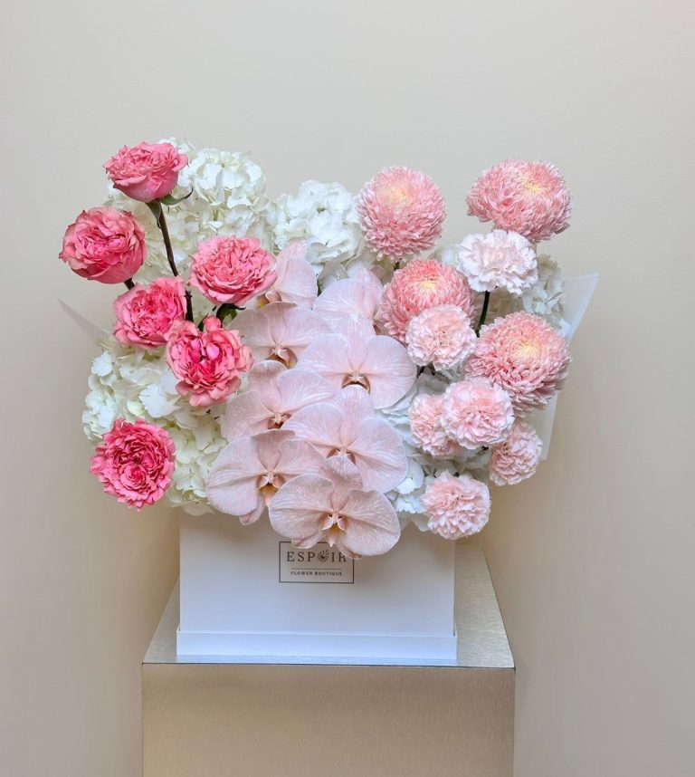 WhatsApp Image 2026-04-05 at 3.36.27 PM