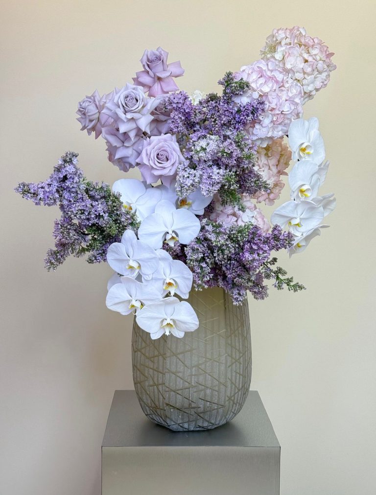 WhatsApp Image 2026-04-07 at 11.19.29 AM