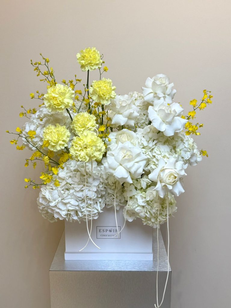 WhatsApp Image 2026-04-09 at 9.17.43 AM