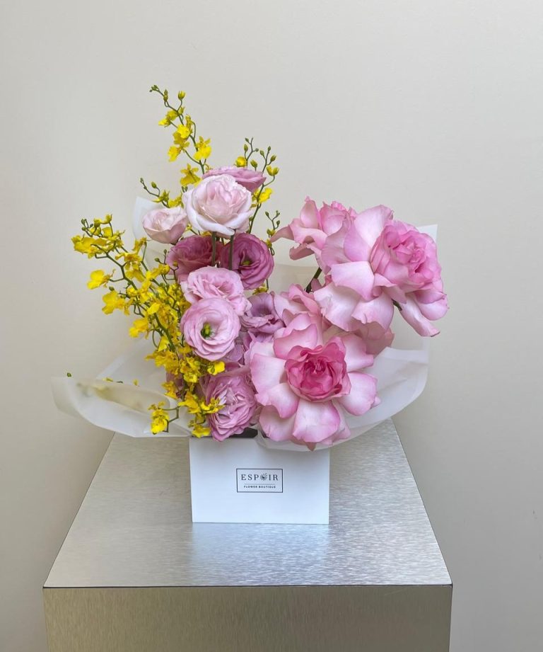 WhatsApp Image 2026-04-14 at 8.34.25 AM (1)