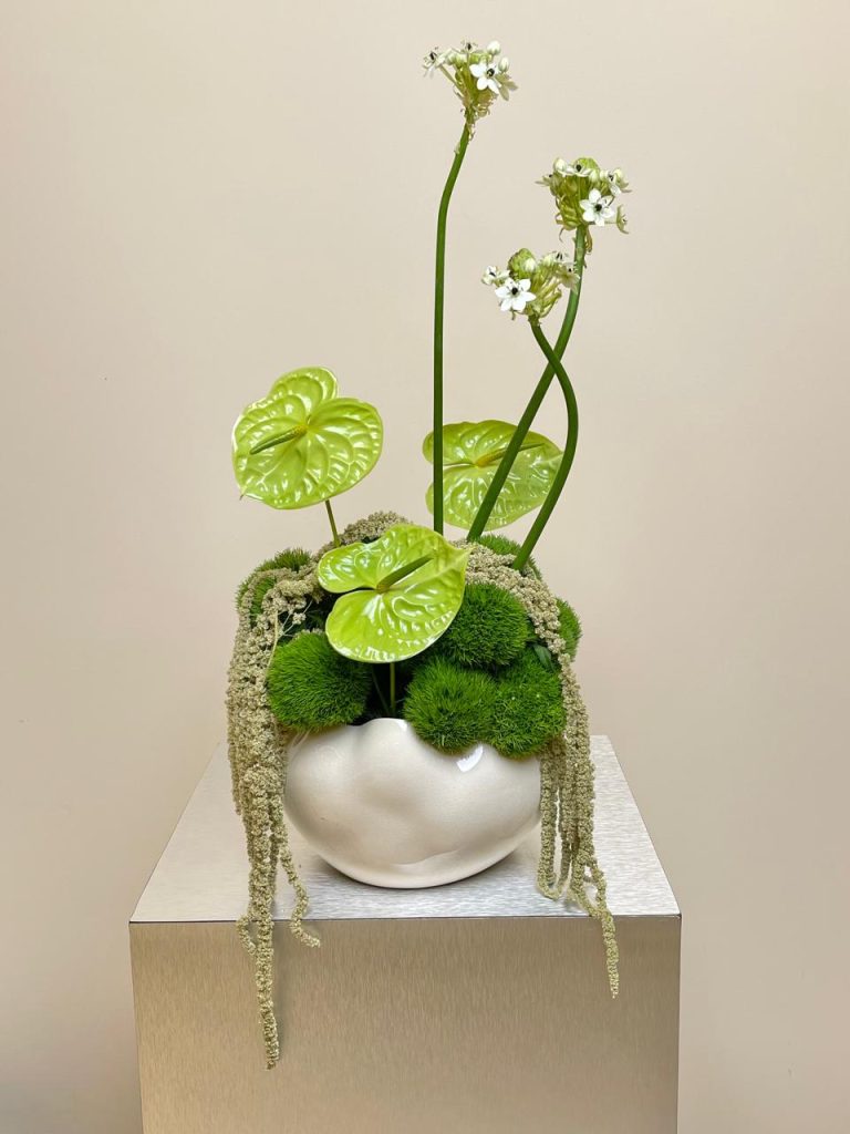 WhatsApp Image 2026-04-20 at 9.04.53 AM